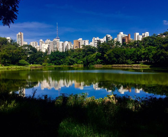 Lago do Parque Aclimação